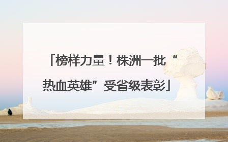 榜样力量！株洲一批“热血英雄”受省级表彰