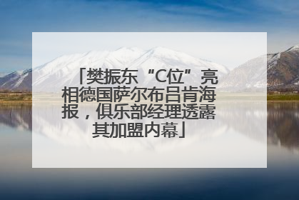 樊振东“C位”亮相德国萨尔布吕肯海报，俱乐部经理透露其加盟内幕