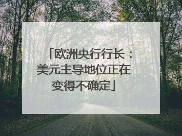 欧洲央行行长：美元主导地位正在变得不确定