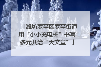 潍坊寒亭区寒亭街道用“小小充电桩”书写多元共治“大文章”