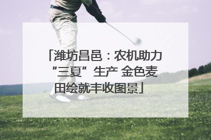 潍坊昌邑：农机助力“三夏”生产 金色麦田绘就丰收图景