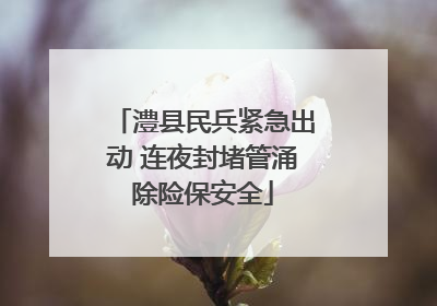 澧县民兵紧急出动 连夜封堵管涌除险保安全
