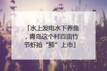 水上发电水下养鱼，青岛这个村百亩竹节虾抢“鲜”上市