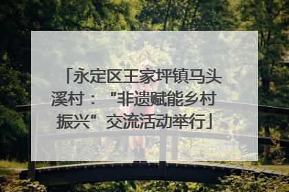 永定区王家坪镇马头溪村：“非遗赋能乡村振兴”交流活动举行