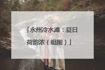 永州冷水滩：夏日荷韵浓（组图）