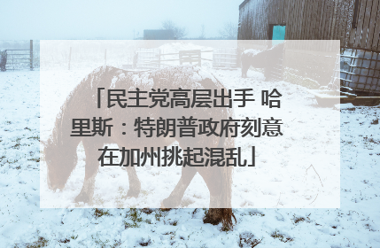 民主党高层出手 哈里斯：特朗普政府刻意在加州挑起混乱