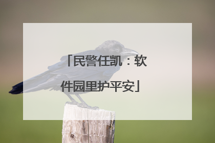 民警任凯：软件园里护平安