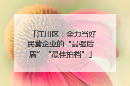 江川区：全力当好民营企业的“最强后盾”“最佳拍档”