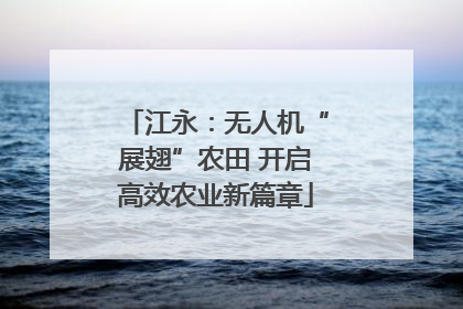 江永：无人机“展翅”农田 开启高效农业新篇章