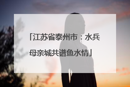 江苏省泰州市：水兵母亲城共谱鱼水情