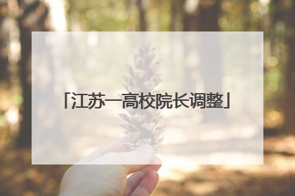 江苏一高校院长调整