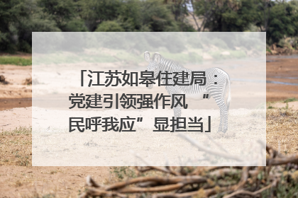 江苏如皋住建局：党建引领强作风 “民呼我应”显担当