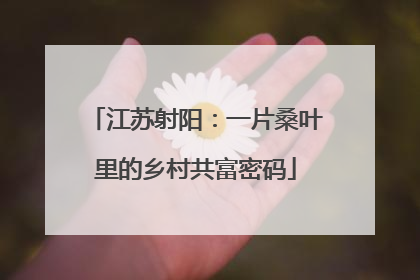 江苏射阳：一片桑叶里的乡村共富密码