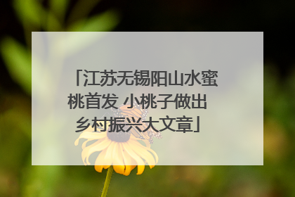 江苏无锡阳山水蜜桃首发 小桃子做出乡村振兴大文章