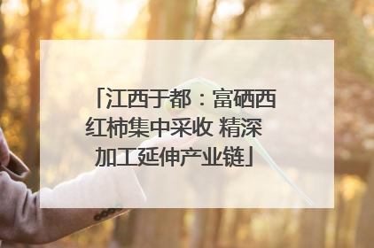 江西于都：富硒西红柿集中采收 精深加工延伸产业链