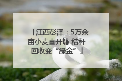 江西彭泽：5万余亩小麦喜开镰 秸秆回收变“绿金”