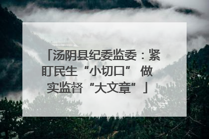 汤阴县纪委监委：紧盯民生“小切口” 做实监督“大文章”