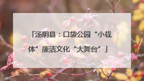 汤阴县：口袋公园“小载体”廉洁文化“大舞台”