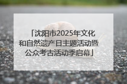 沈阳市2025年文化和自然遗产日主题活动暨公众考古活动季启幕