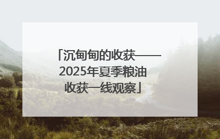 沉甸甸的收获——2025年夏季粮油收获一线观察