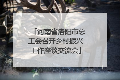 河南省洛阳市总工会召开乡村振兴工作座谈交流会
