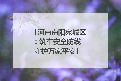 河南南阳宛城区：筑牢安全防线 守护万家平安