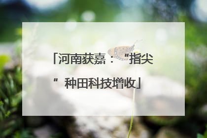 河南获嘉：“指尖”种田科技增收