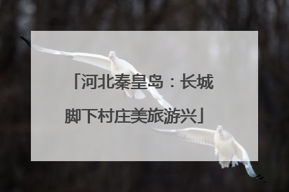 河北秦皇岛：长城脚下村庄美旅游兴