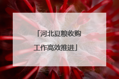 河北夏粮收购工作高效推进