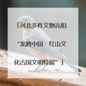 河北多件文物亮相“龙腾中国：红山文化古国文明特展”
