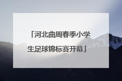 河北曲周春季小学生足球锦标赛开幕