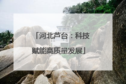 河北芦台：科技赋能高质量发展