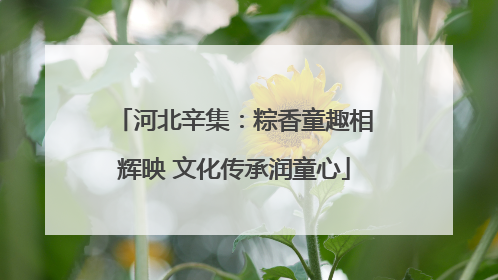 河北辛集：粽香童趣相辉映 文化传承润童心