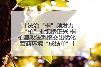 法治“桐”频发力 “柏”业锦绣正兴 桐柏县政法系统交出优化营商环境“成绩单”