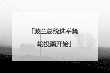波兰总统选举第二轮投票开始