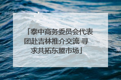 泰中商务委员会代表团赴吉林推介交流 寻求共拓东盟市场