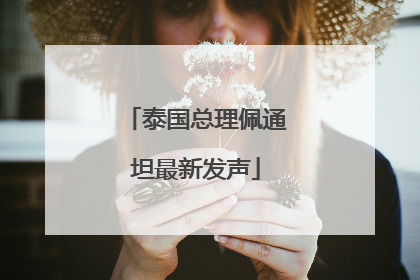 泰国总理佩通坦最新发声