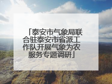 泰安市气象局联合驻泰安市省派工作队开展气象为农服务专题调研