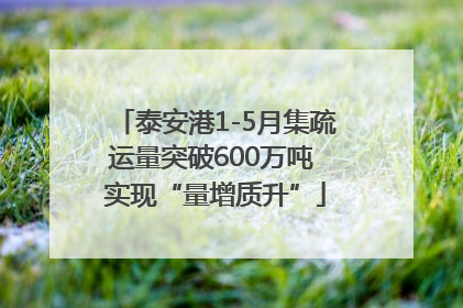 泰安港1-5月集疏运量突破600万吨 实现“量增质升”