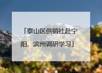 泰山区供销社赴宁阳、滨州调研学习