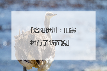 洛阳伊川：旧寨村有了新面貌
