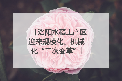洛阳水稻主产区迎来规模化、机械化“二次变革”