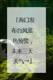 海口发布台风蓝色预警，未来三天天气→