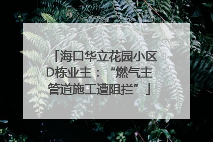 海口华立花园小区D栋业主：“燃气主管道施工遭阻拦”