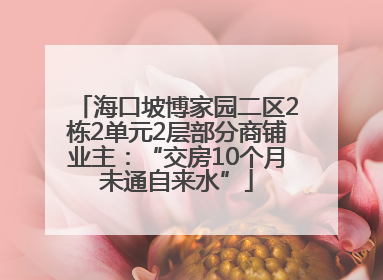 海口坡博家园二区2栋2单元2层部分商铺业主：“交房10个月未通自来水”