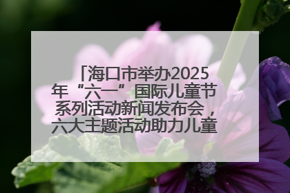 海口市举办2025年“六一”国际儿童节系列活动新闻发布会，六大主题活动助力儿童友好城市建设