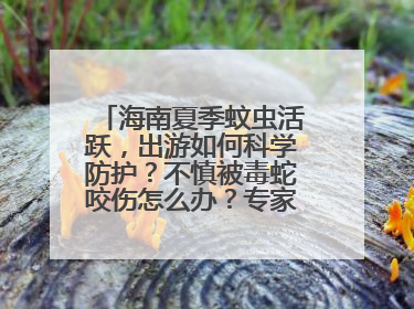 海南夏季蚊虫活跃，出游如何科学防护？不慎被毒蛇咬伤怎么办？专家建议→