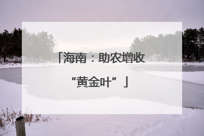 海南：助农增收 “黄金叶”