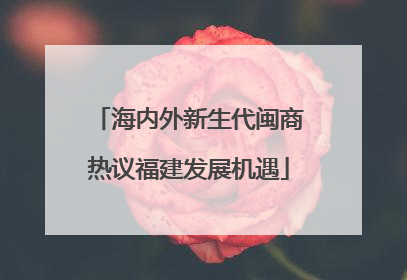 海内外新生代闽商热议福建发展机遇