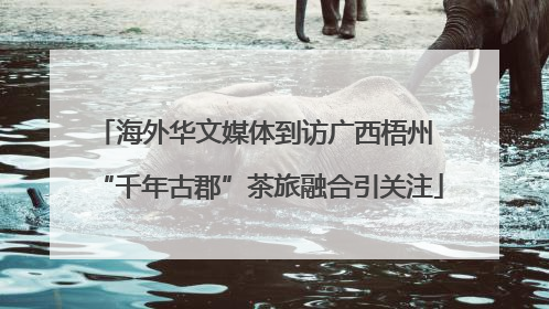 海外华文媒体到访广西梧州 “千年古郡”茶旅融合引关注
